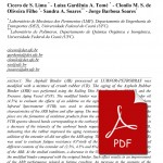 045_Aging-Studies-of-Asphalt-Rubber-Binder